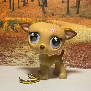 Lps greyhound
